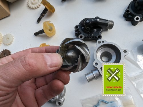 PXL_20240528_135355629